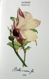 Bertha, a menina-flor [Raymond Roussel] - bilingue