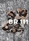 BR 111 - A ROTA DAS PRISÕES BRASILEIRAS