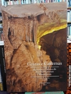 GRUTAS E CAVERNAS DA PROVÍNCIA CÁRSTICA DO ALTO SÃO FRANCISCO MINAS GERAIS Capa dura – 1 janeiro 2009