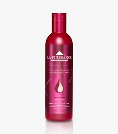 Art. 0026 - Color Protection - Shampoo Fijador de Color x 300 ML - La Puissance