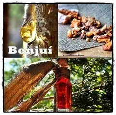 Aceite Esencial De Benjui Puro Envase De 15 Ml en internet