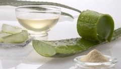 Gel De Aloe Vera Puro 100% 1k - comprar online