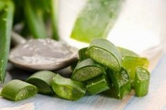 Gel De Aloe Vera Puro 100% 100gr - tienda online