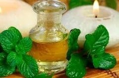 Aceite Esencial De Menta 100% Puro Envase De 15 Ml