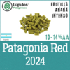 Lúpulo Patagonia Red en Pellets