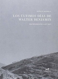 LOS ÚLTIMOS DÍAS DE WALTER BENJAMIN - PATRICIO SALINAS A. - Saposcat