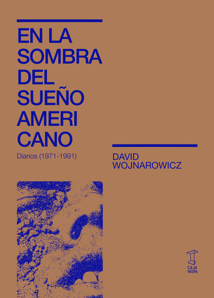 EN LA SOMBRA DEL SUEÑO AMERICANO (DIARIOS 1971-1991) - DAVID WOJNAROWICZ - CAJA NEGRA