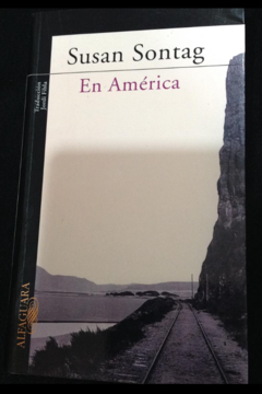 En América - Susan Sontag - Precio Libro - Editorial Alfaguara - ISBN 9788499081755 - comprar online