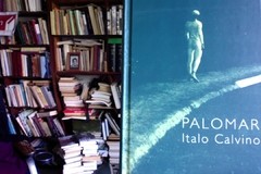 Palomar -Italo Calvino