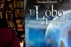 El Lobo Estepario / Demian - Hermann Hesse ISBN 9789589983997