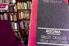 Rizoma - Introducción - Gilles Deleuze - Felix Guattari