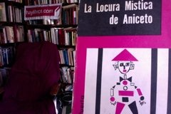 La locura mistica de Aniceto - Rodolfo Puerta