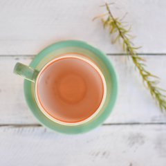 Taza de té con plato "Línea CACTUS" - comprar online