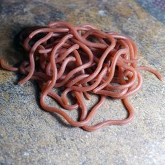 Sili Worm - Lombríz de silicona - Squirmy Wormy - San Juan Worm - comprar online