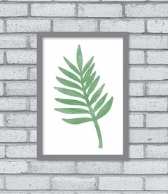 Quadro Fern na internet