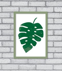 Quadro Monstera