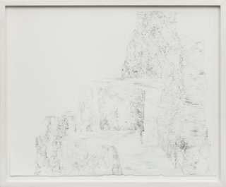 Cintia Fernandez Padin. Otras Naturalezas VIII, 43 x 52 cm