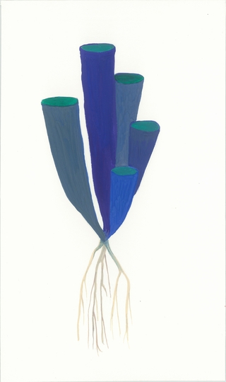 Cintia Fernandez Padin. Otras Naturalezas (coralazul), 21 x 12,5 cm