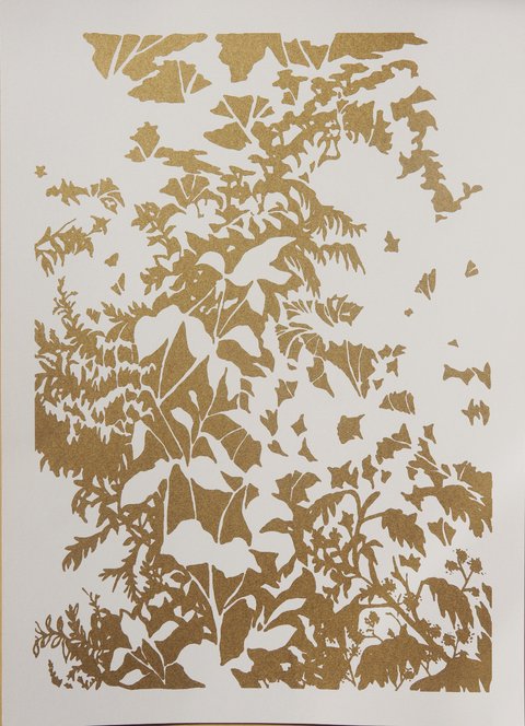 Lucia Spotorno. Serie Adoraciones III, 65 x 48 cm.