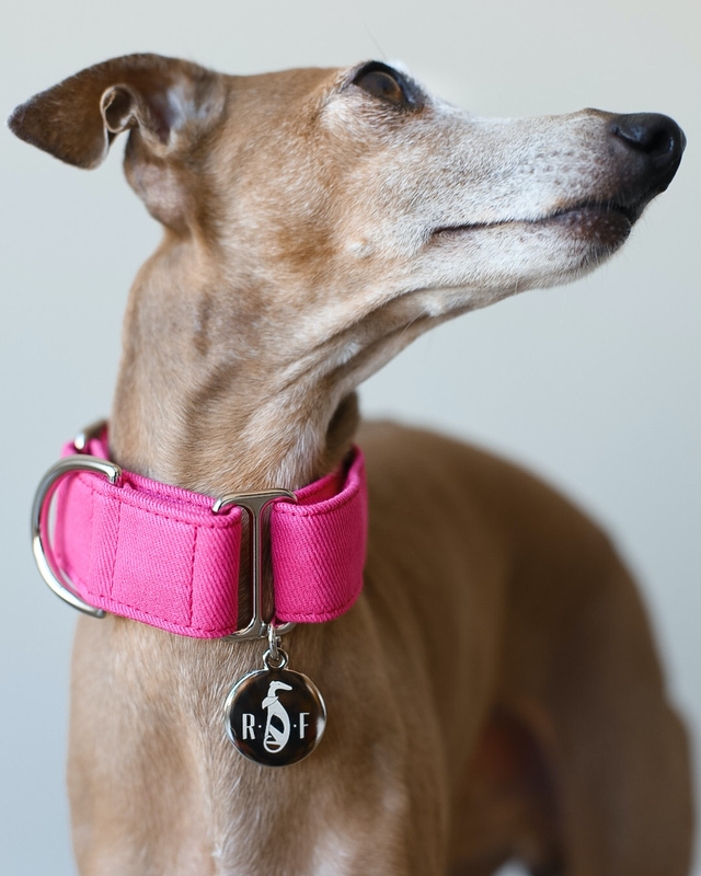 Coleira Martingale para cachorros Bege Areia - Ruff Ruff