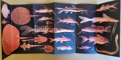 Peces / Fish - del Río de La Plata, Uruguay y Paraná - Guía de Bolsillo - La Biblioteca del Naturalista