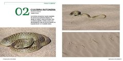 Algunas Aves y otros Animales - La Biblioteca del Naturalista