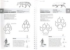 Guía de huellas de mamíferos de Misiones y otras áreas del subtrópico de Argentina - comprar online