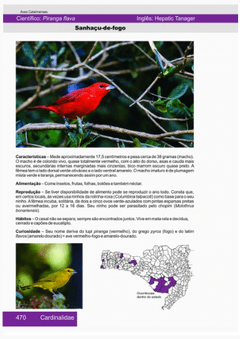 Aves Catarinenses - La Biblioteca del Naturalista