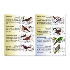 AVES DE IGUAZÚ - comprar online