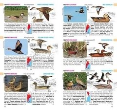 Guia de Aves de Argentina y Uruguay - comprar online