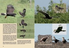 Aves, Vida y Conducta en internet