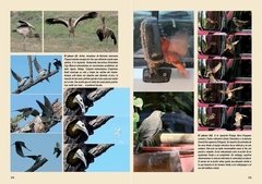 Aves, Vida y Conducta - comprar online