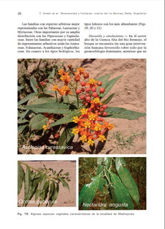 Biodiversidad y fronteras. Cuenca del río Bermejo (Salta, Argentina) en internet