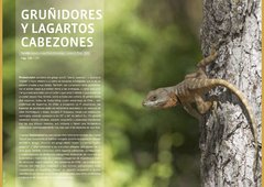 REPTILES EN CHILE - tienda online