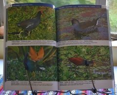 Aves Rioplatenses - La Biblioteca del Naturalista