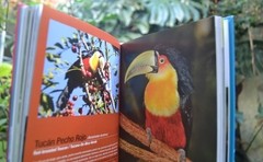 Aves de Misiones - La Biblioteca del Naturalista