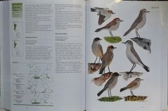 Manual Ilustrado Aves De la Patagonia – KOVACS - La Biblioteca del Naturalista