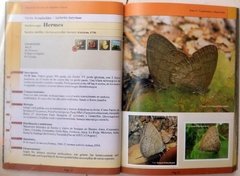 Mariposas Serranas de Argentina Central. Tomo 2 - comprar online