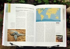 Tortugas del Mundo - comprar online