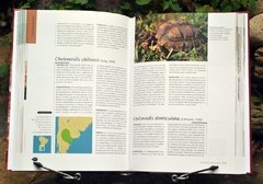 Tortugas del Mundo en internet