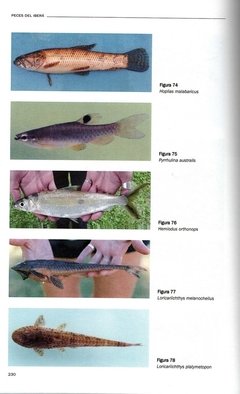 Imagen de Libro: Peces del Iberá