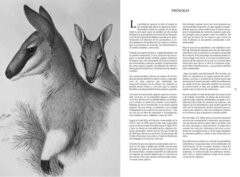 Historias de la Fauna Perdida - comprar online