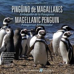 PINGÜINO DE MAGALLANES: Embajador de la Patagonia