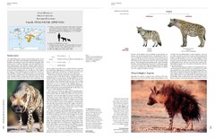 Handbook of the Mammals of the World - Volume 1 Carnivores - La Biblioteca del Naturalista