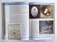 Manual del Observador de Aves en internet