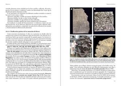 Meteoritos. Restos rocosos del Sistema Solar Primitivo - La Biblioteca del Naturalista