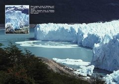 Plantas de la Patagonia / Plants of Patagonia - La Biblioteca del Naturalista