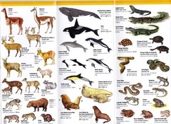 ARGENTINA Fauna- Guía de Bolsillo - La Biblioteca del Naturalista