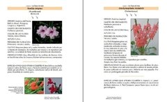 Jardines Para Atraer Picaflores - La Biblioteca del Naturalista