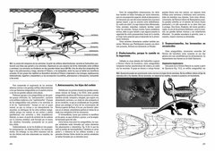 Vida en Evolución - tienda online